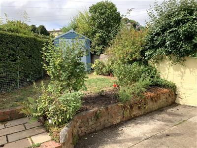 Picture 15